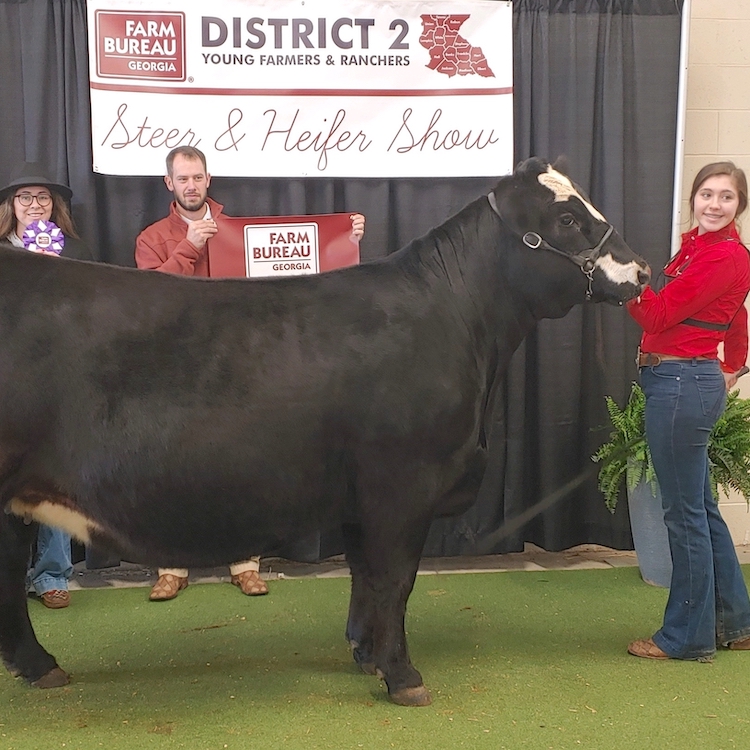 McDaniel, Dalton are GFB 2nd District cattle show winners